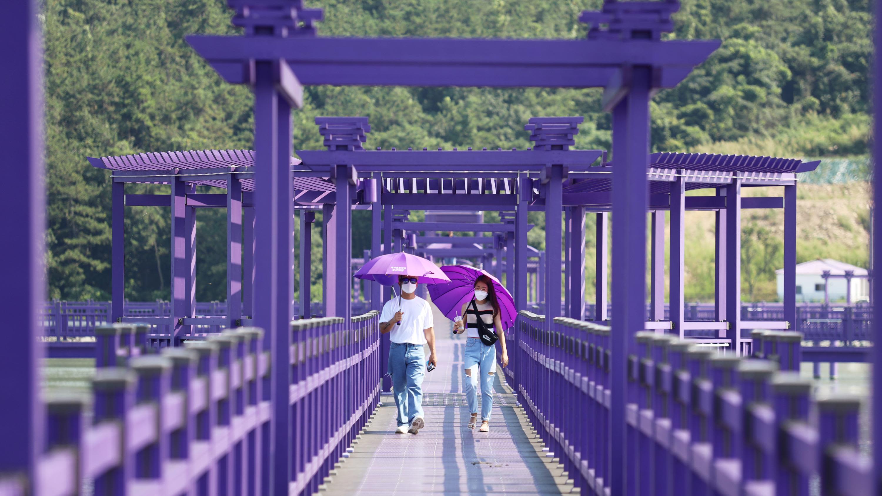 View of the purple bridge at Banwol Island.